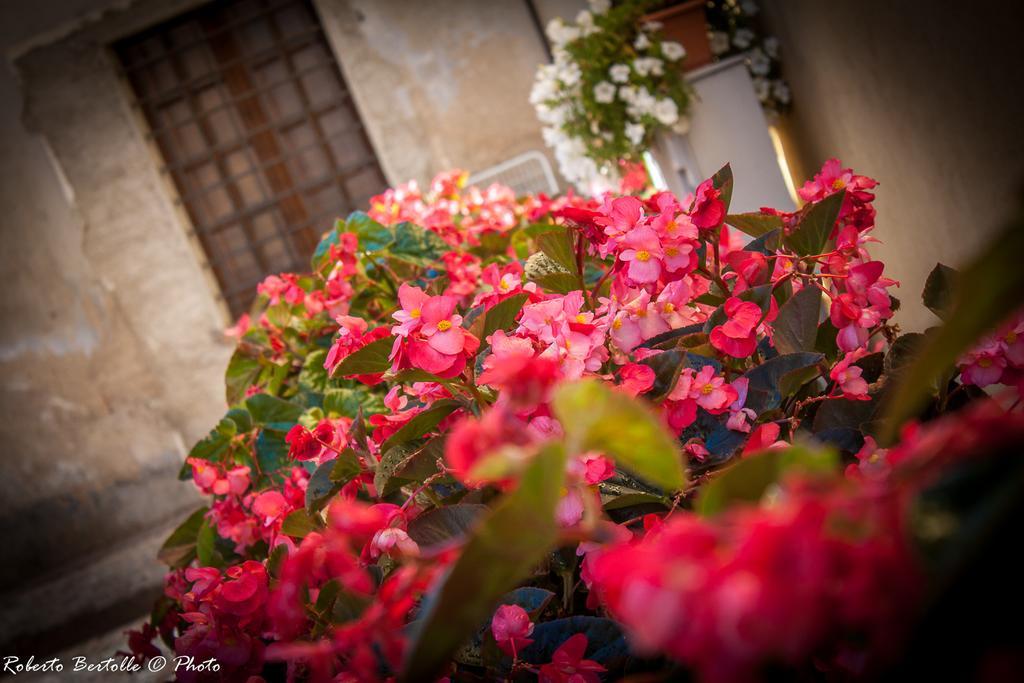 Bed and Breakfast Torre Della Botonta Castel Ritaldi Экстерьер фото